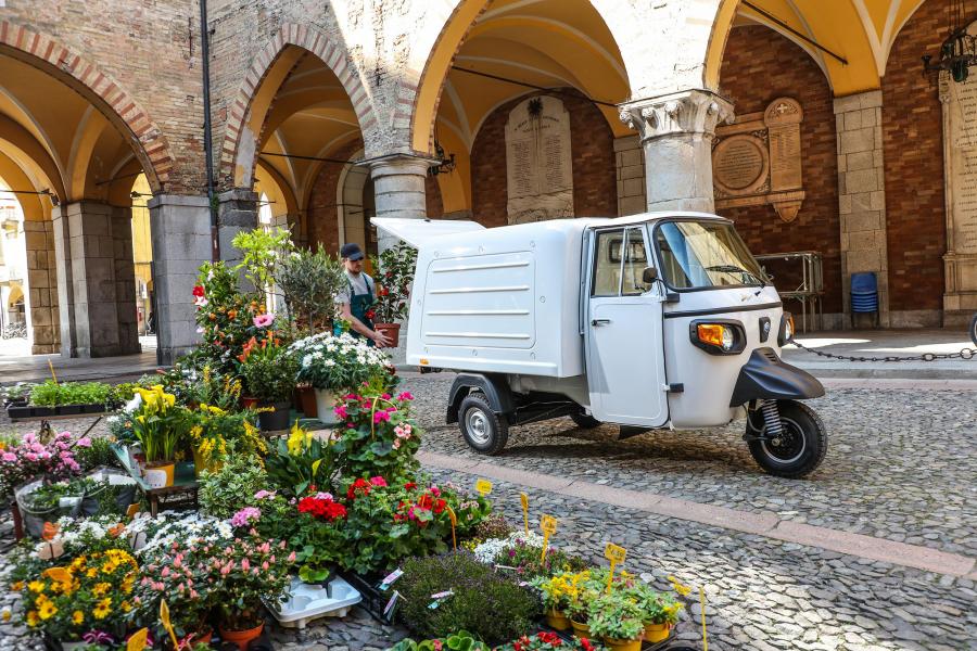  Piaggio Ape Classic Van 2019 года  (фото 5 из 14)